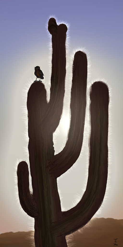 cactus.jpg