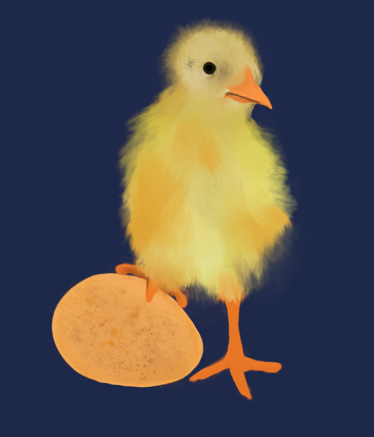 chick.jpg