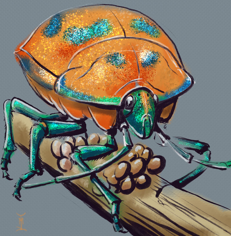 Bug2.jpg