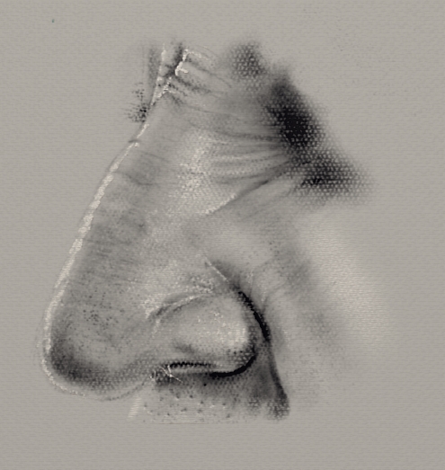Nose.jpg