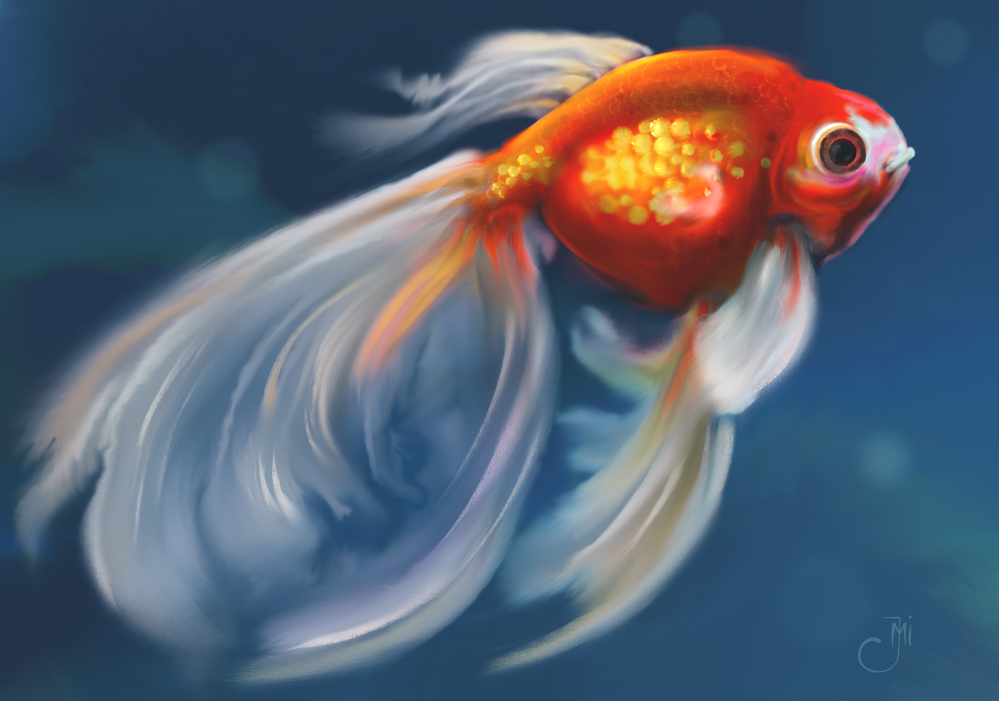 Cloudtail-Goldfish_web.jpg