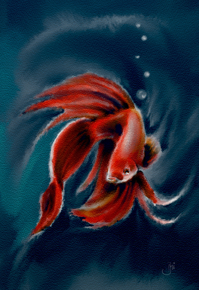 Betta-Fish_web.jpg
