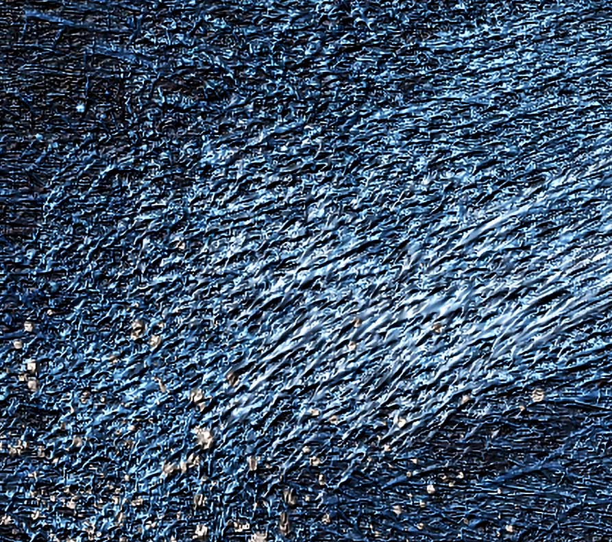 Wave-web-crop.jpg
