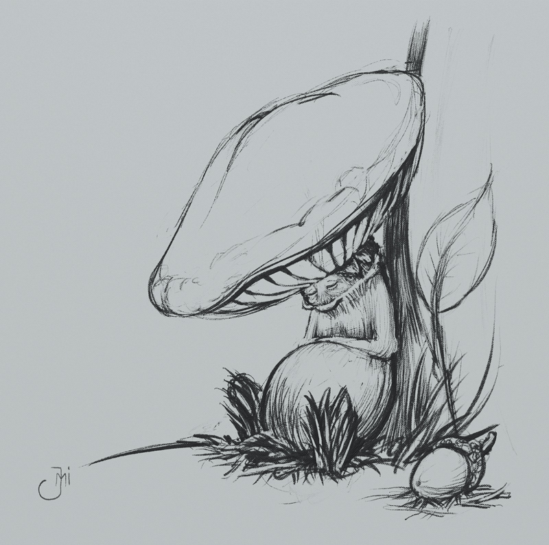 MushroomMan-Sleeps.jpg