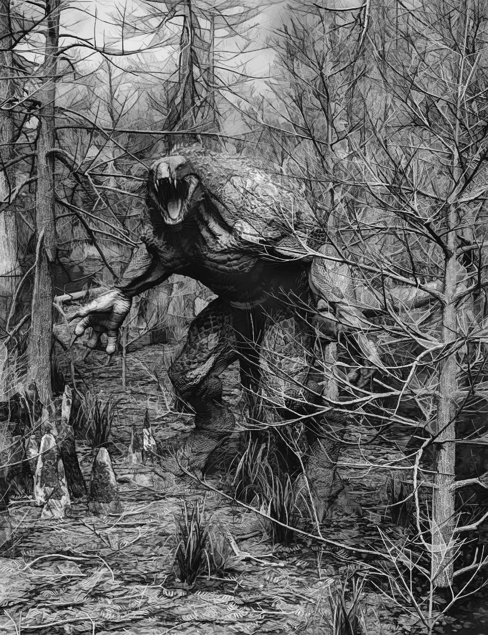 !!psdcarnolech test.jpg