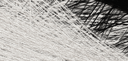 Monsters_5000x3500-crop.jpg