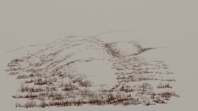 GrassMulti1.jpg
