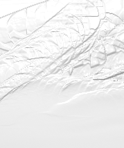 test_all_white_canvas_off_with_material.png