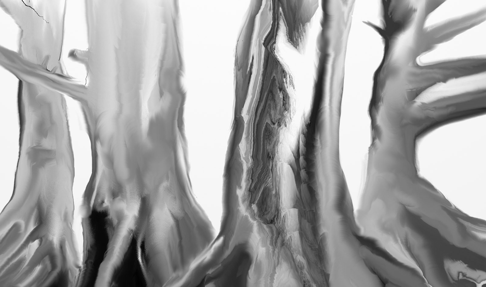tree trunk study.jpg