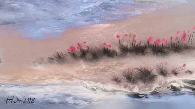 2018.04.21 Blümchen rosa am Meer_überarbeitet002.jpg