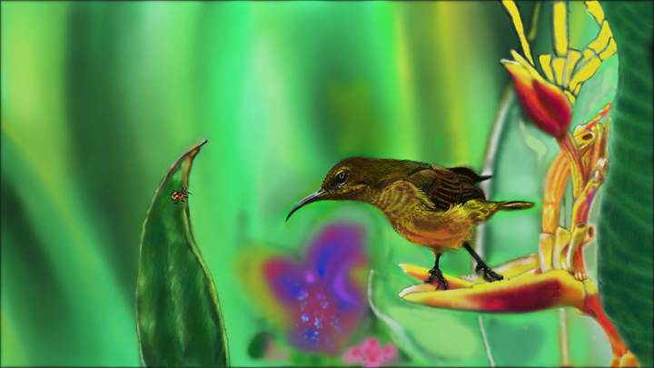 Birdnadflowers552014forum.jpg