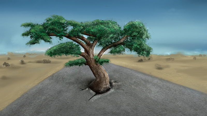 tree_07_web.jpg